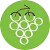 Napa County Bicycle Coalition